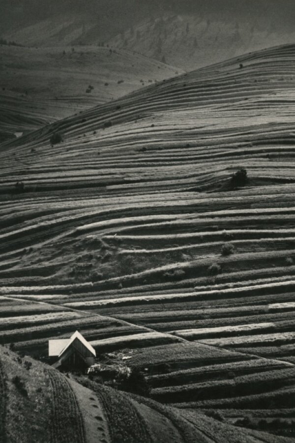 Krajina, 1968, Moravská galerie v Brně